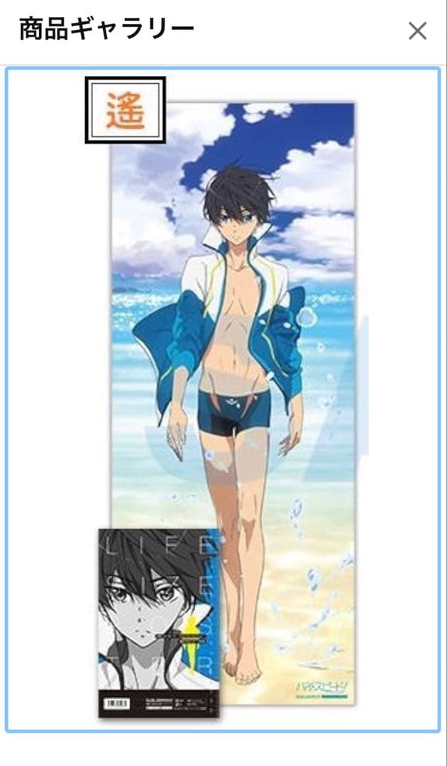 ♡ハイスピード Free!七瀬遙タペストリー♡