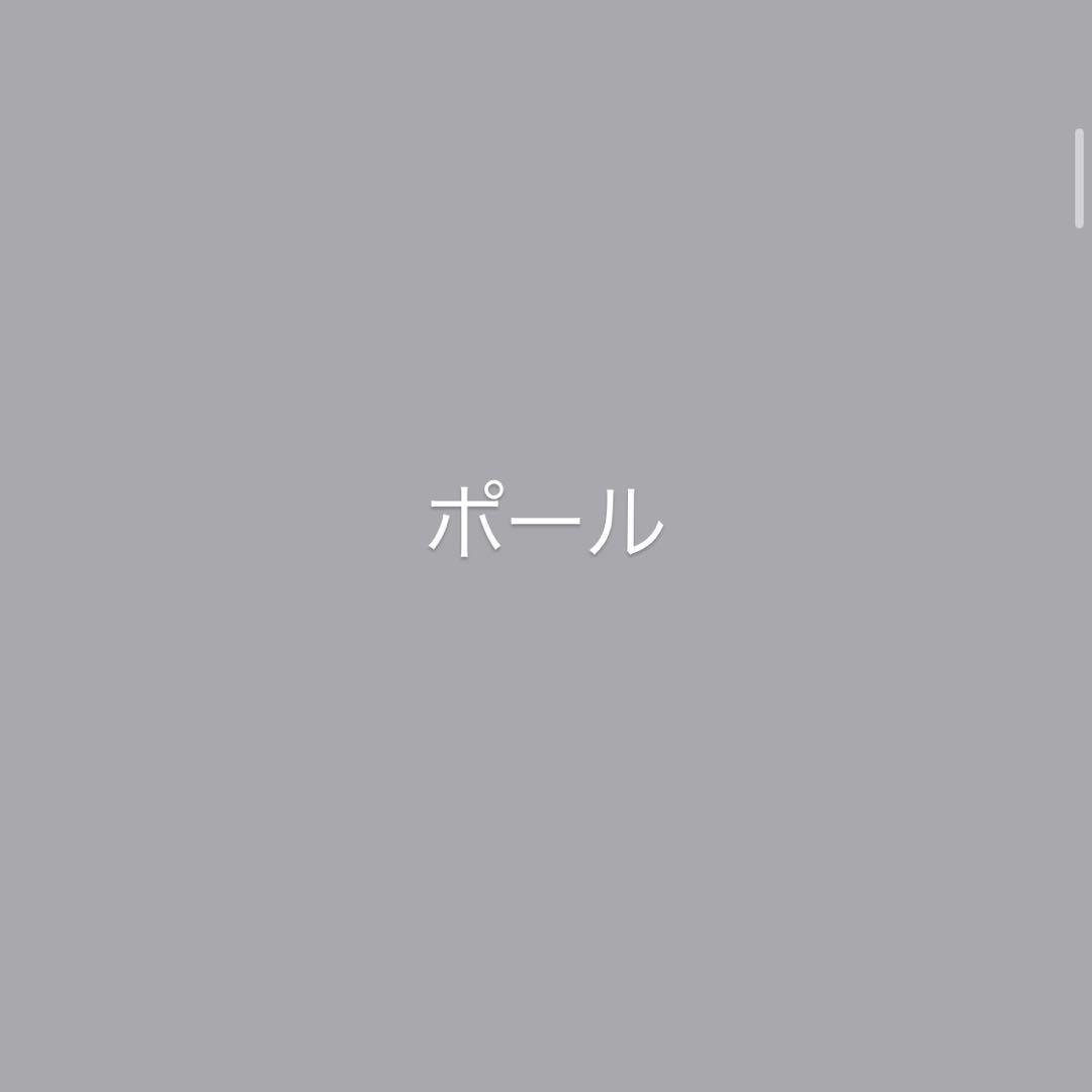 ZANE ARTS GIMORG フットプリント、フロアマット付き