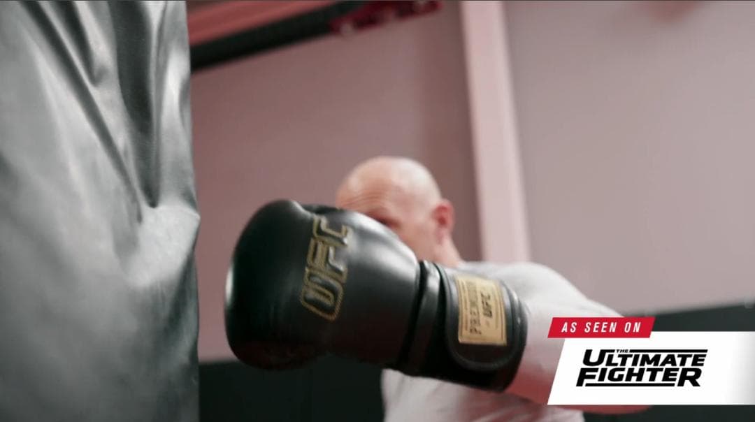 【最高級本革】UFC公式 プロプレミアム トレーニンググローブ ボクシング