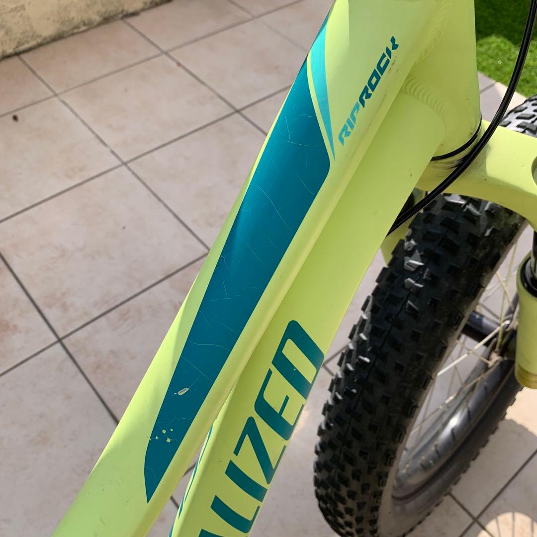 Specialized Riprock20 パウダーグリーン　スペシャライズド