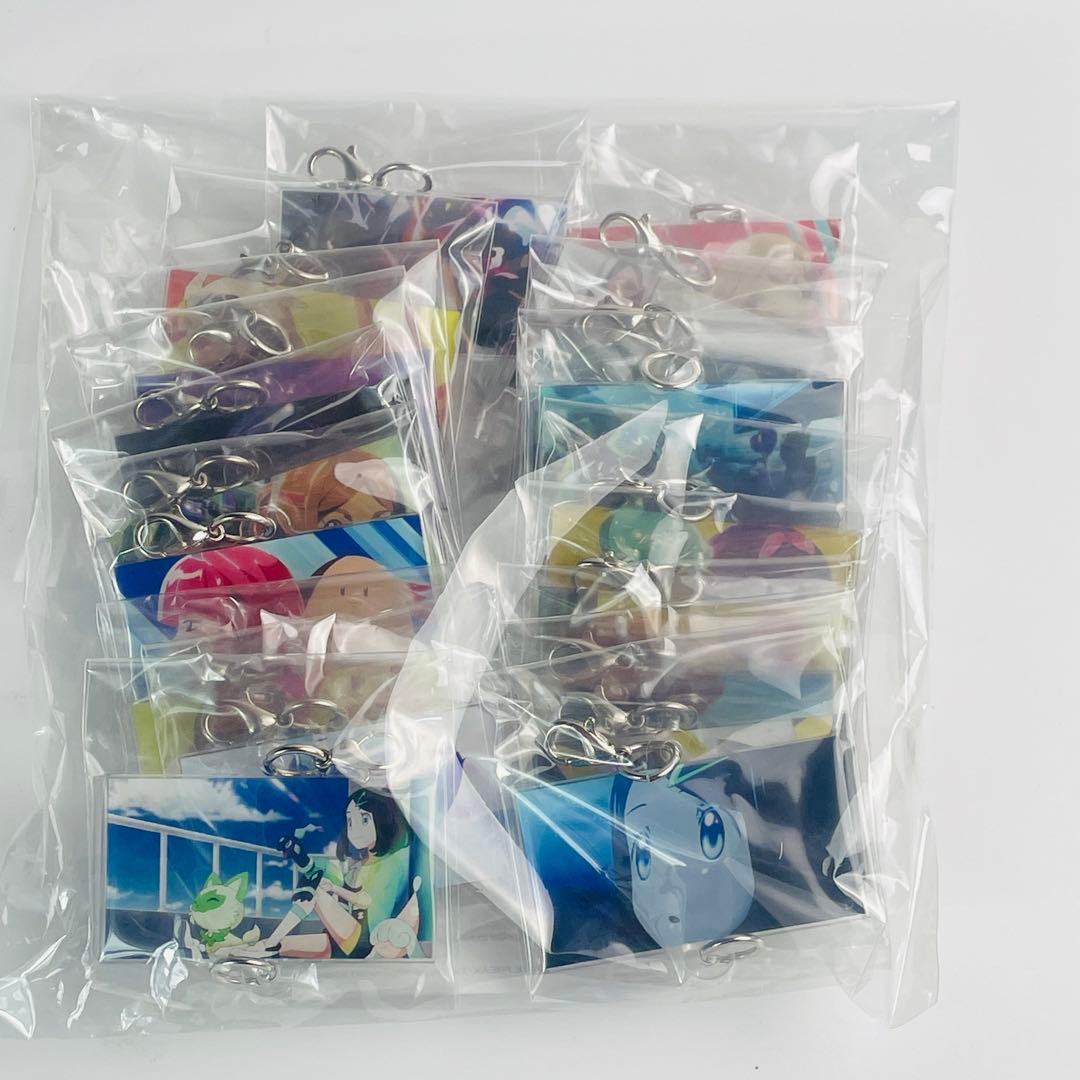 【当選品/50名限定】ポケモン アニポケ アクリルキーホルダー 19枚 アクキー