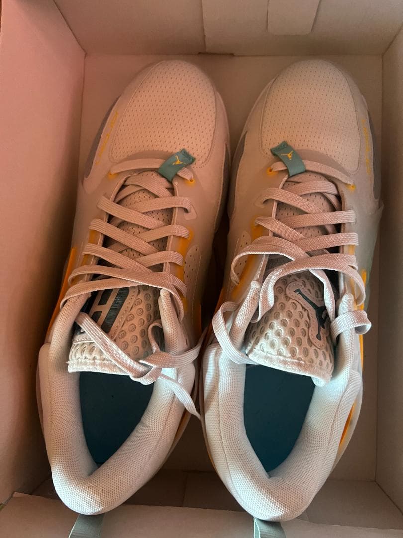 NIKE JORDAN HEIR PF Poolside 31cm 試着のみ