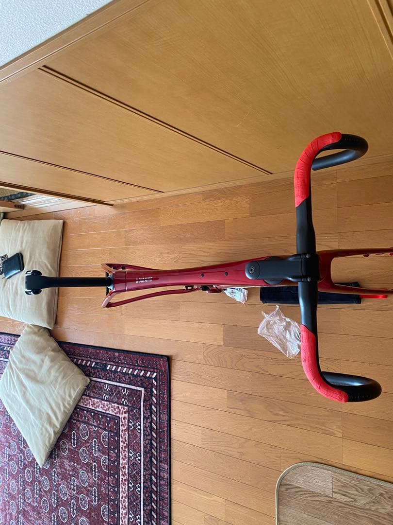 TREK DOMANE SL6 フレームセット　2024 サイズ52
