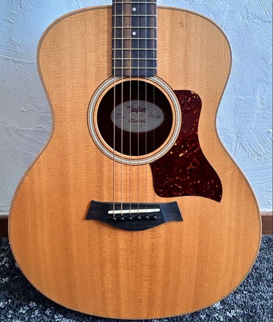 [ケース有] Taylor GS Mini Rosewood