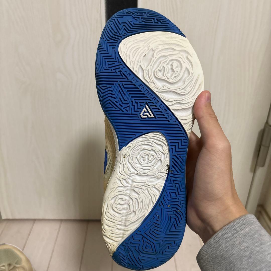 NIKE ZOOM FREAK 1バッシュ 26.5cm ベージュ　フリーク1