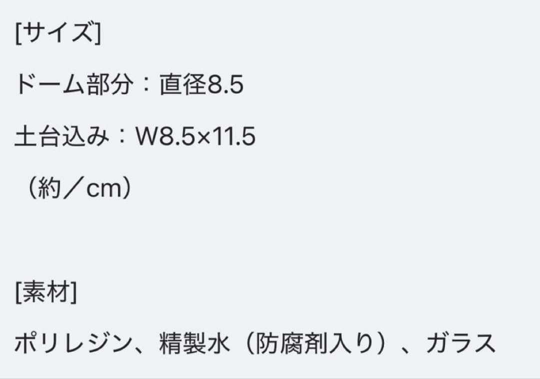 新品 未開封 VAUNDY SILENCE スノードーム  Globe