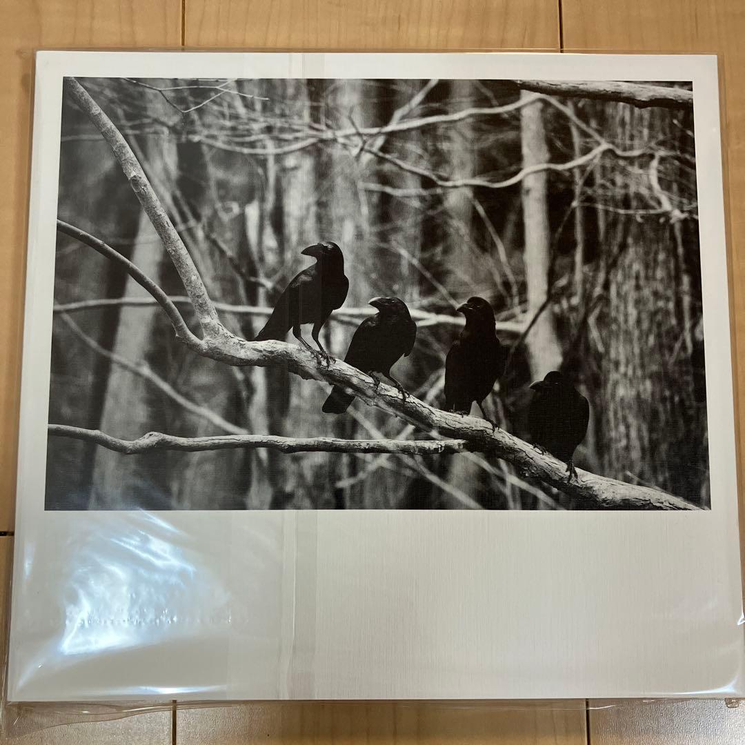 新品未開封　エレファントカシマシ30周年　写真集