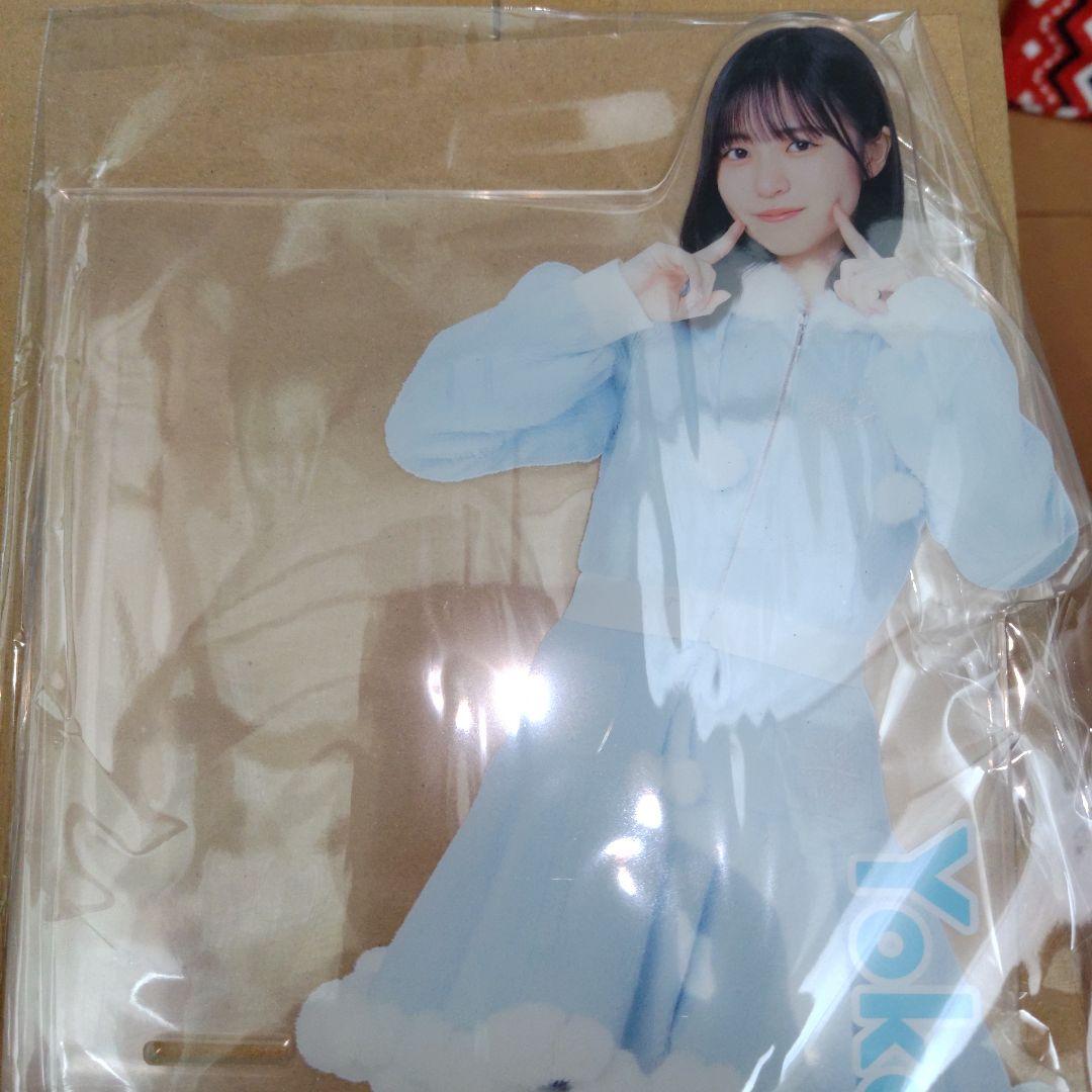 日向坂　正源司陽子　BIGアクリルペンライトスタンド　ローソン　新品☆