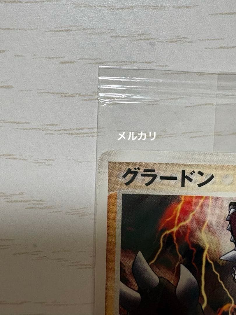 【未開封・匿名発送】ポケパーク グラードン