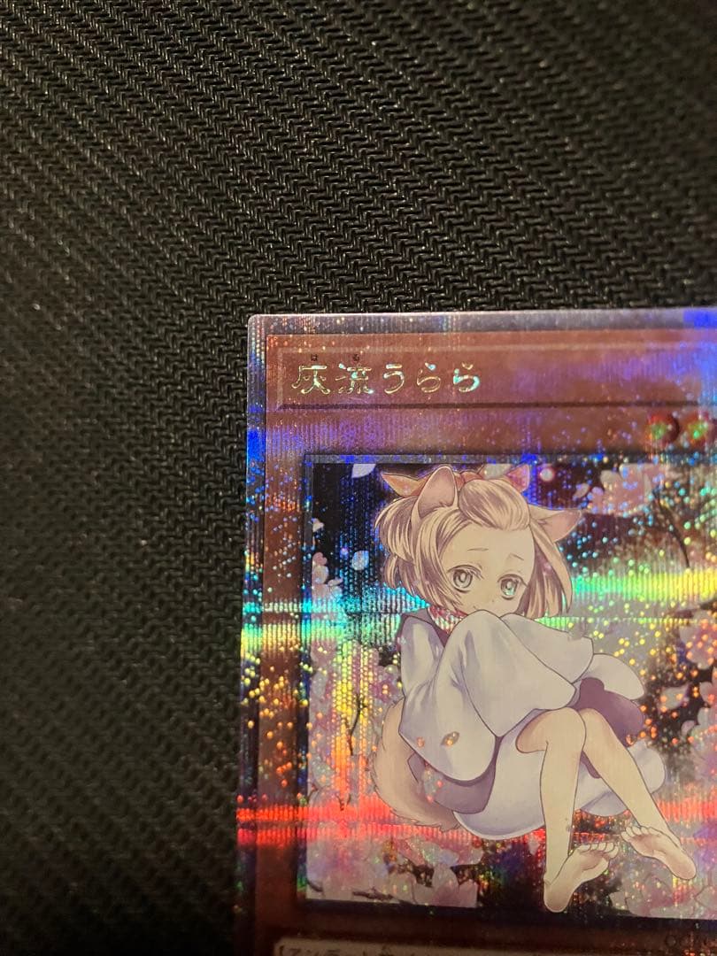 遊戯王 灰流うらら 屋敷わらし ドロール&ロックバード 25th クオシク