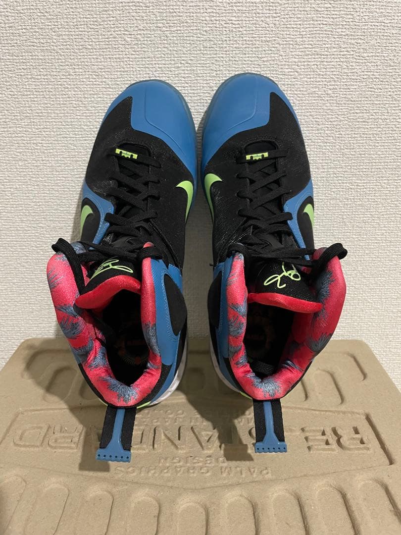 シューズ(男性用) NIKE LEBRON 9 \"South Coast\"