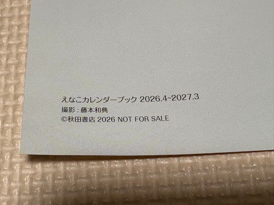 えなこ カレンダーブック特典 会場限定A2ポスター
