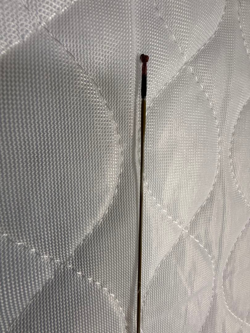 ヘラブナ竿 龍聖　十三 ＋おまけ付き
