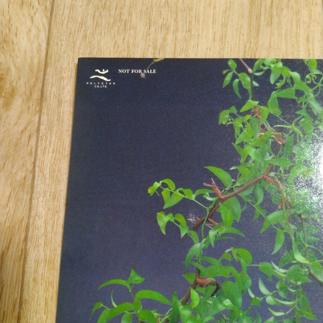 Wink　淋しい熱帯魚　ミニポスター