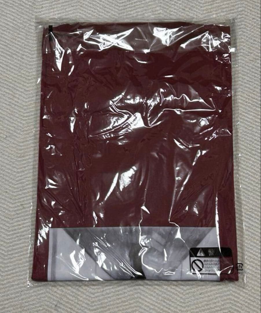 未開封 広瀬すず 写真集 レジャートレジャー 発売記念 先輩Ｔシャツ Ｌサイズ