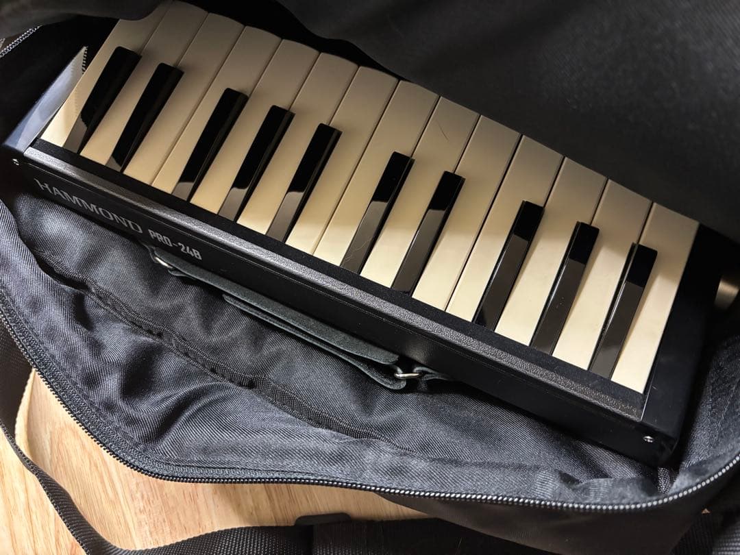 HAMMOND ハモンド PRO-24B 鍵盤ハーモニカ エレアコ バスモデル