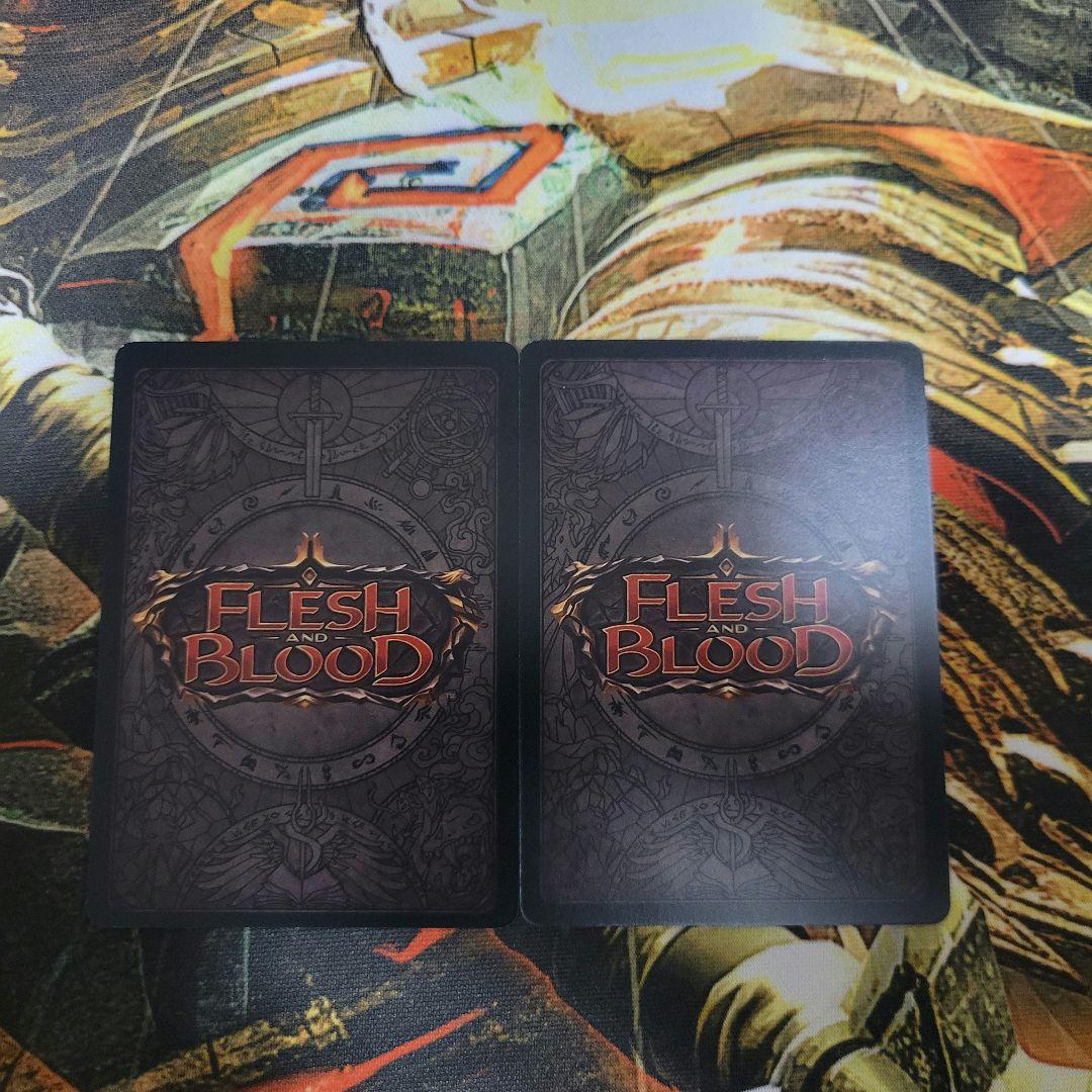 FLESH AND BLOOD Codex of Bloodrot FAB 2枚