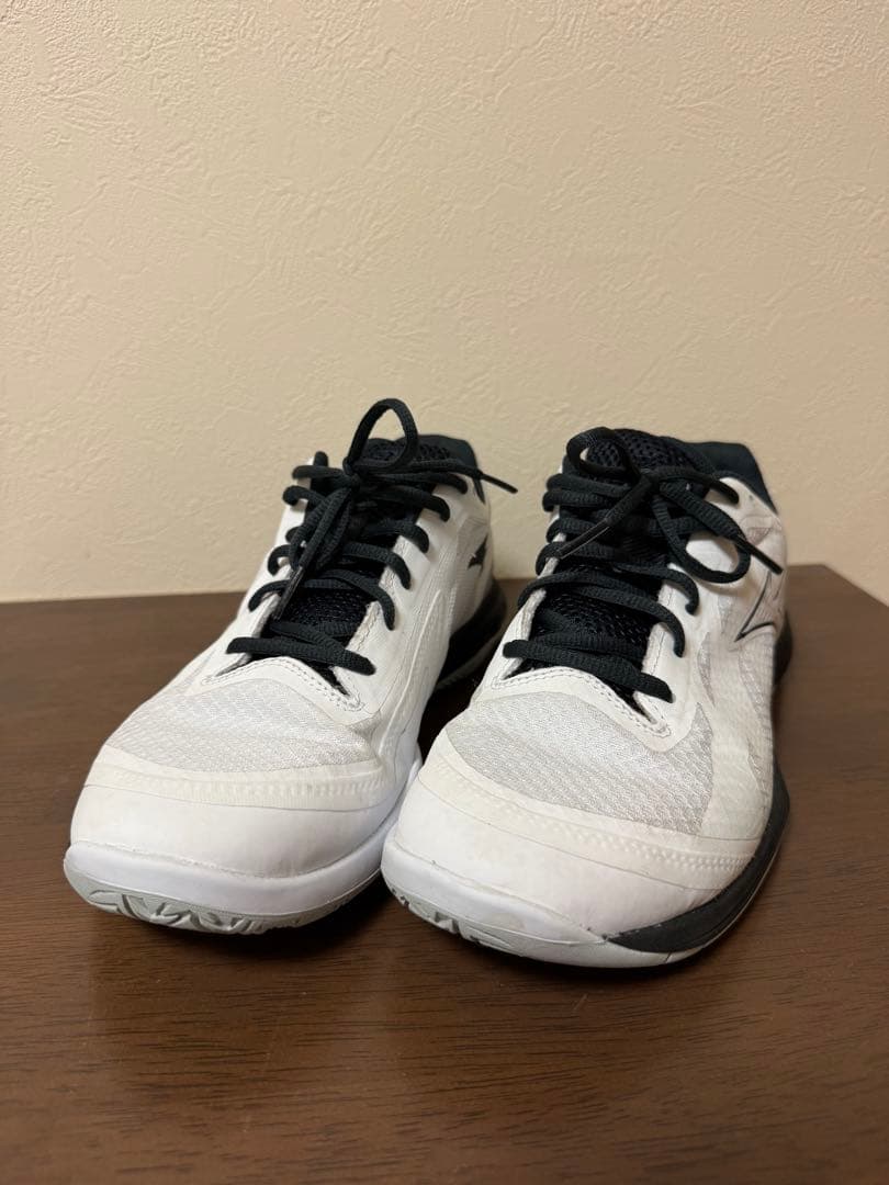 Mizuno WAVE FANG EL 2 バドミントンシューズ　美品 26.5