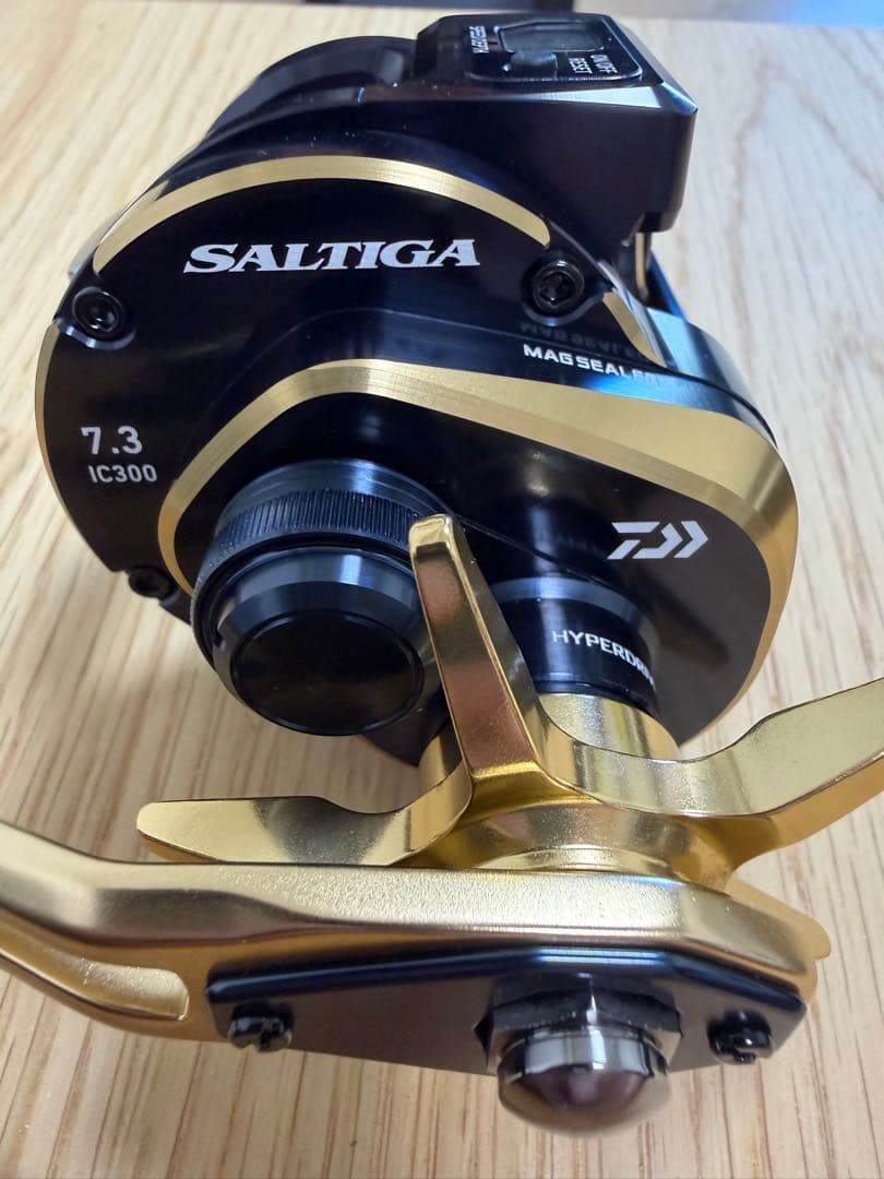 リール Daiwa 21 Saltiga IC300H-SJ