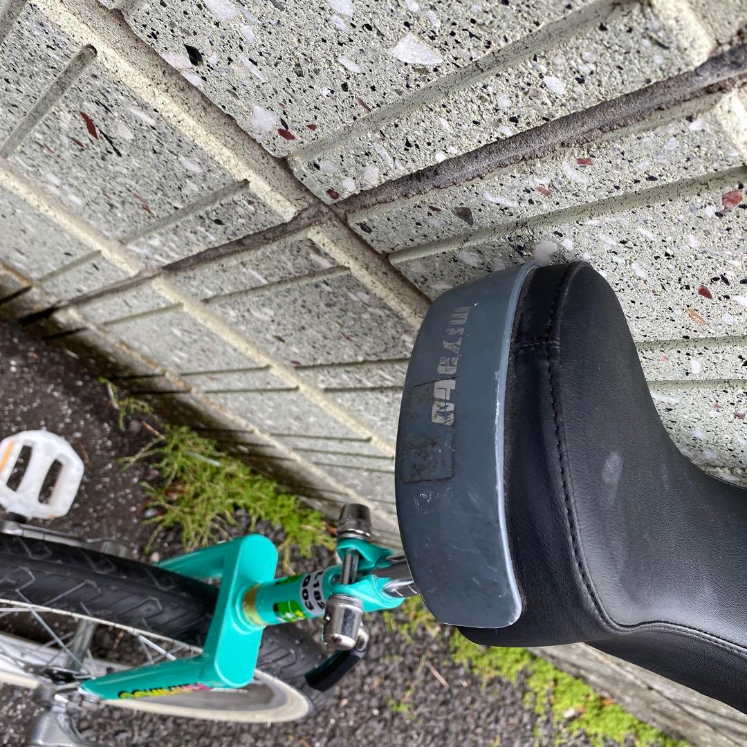 MIYATA ミヤタ FLAMINGO フラミンゴ ノーパンク18インチ 一輪車