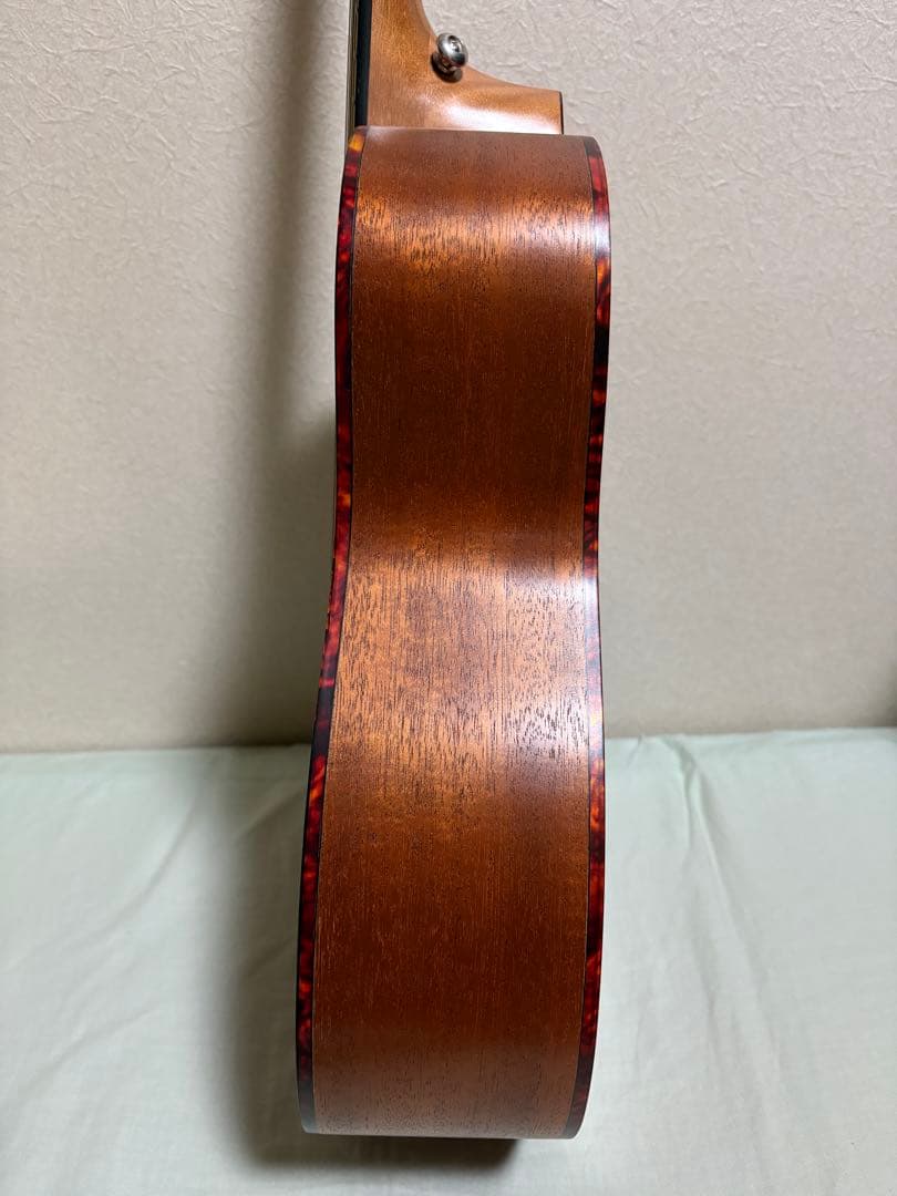 ギター ELVIS Master Mini