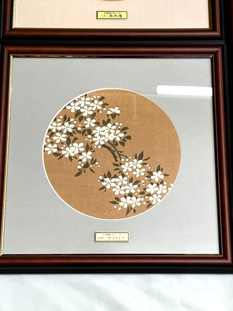 伊藤若沖 画譜 花十二ヶ月 コレクション