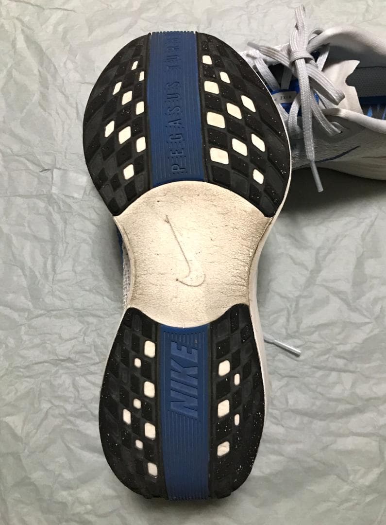 NIKE ナイキ ペガサス プラス メンズ 25.0cm