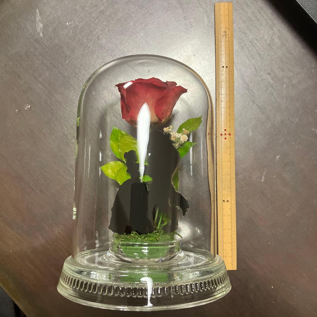 Reine De Fleur バラのガラスドーム　美女と野獣　ディズニー