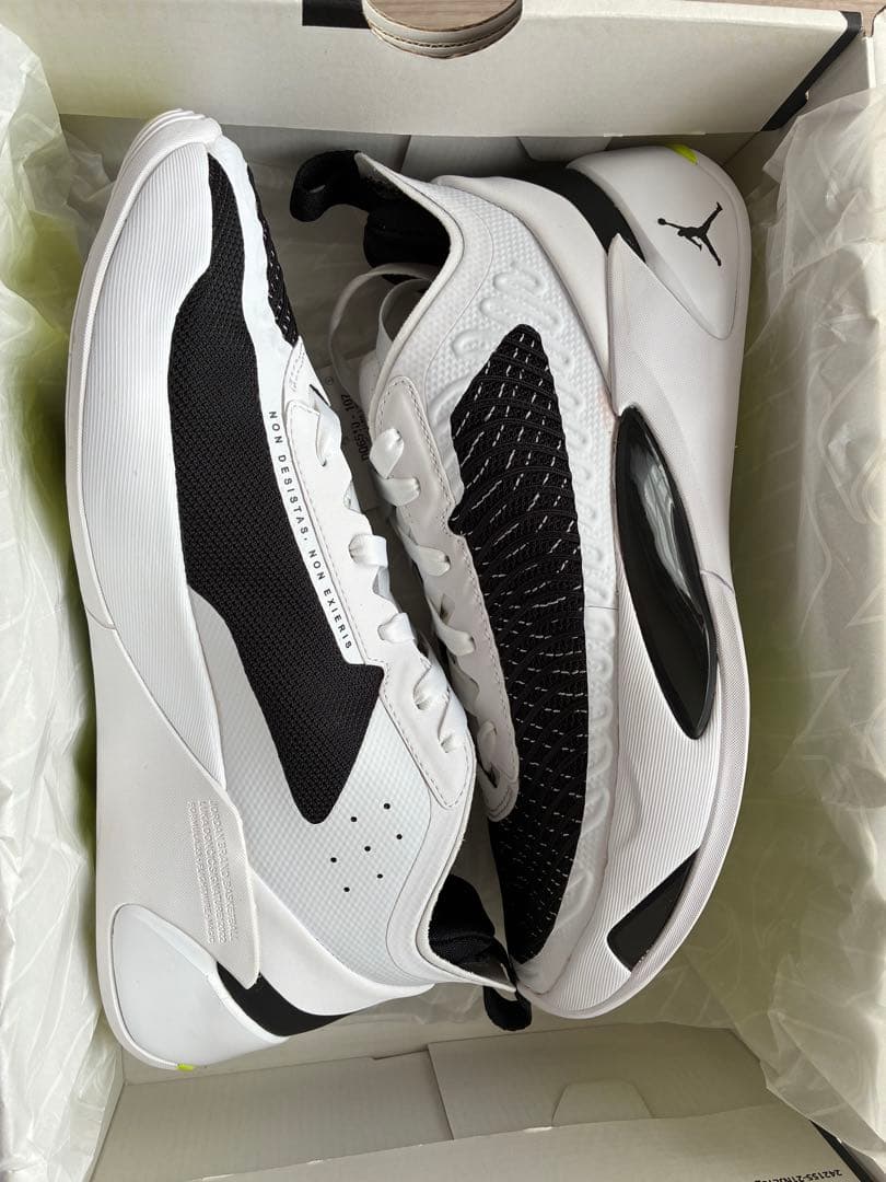 Jordan ルカ1 バスケットボールシューズ　値下げ可