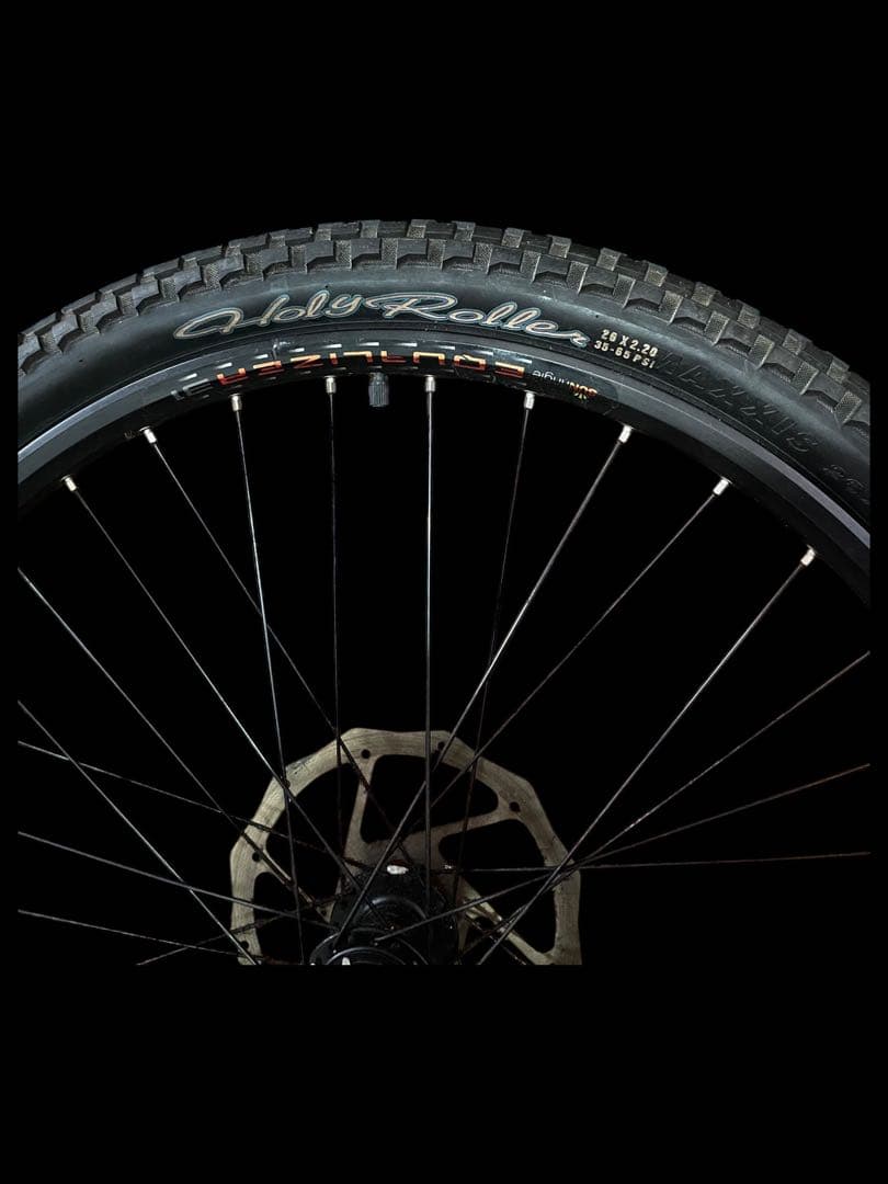 ⭐️マウンテンバイク⭐️ホイールDT SWISS 420L ⭐️タイヤMAXXIS