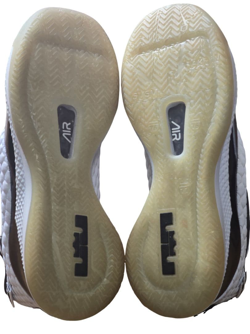 【新品/黒タグ付】レブロン ウィットネス3 25.5cm バッシュ NIKE