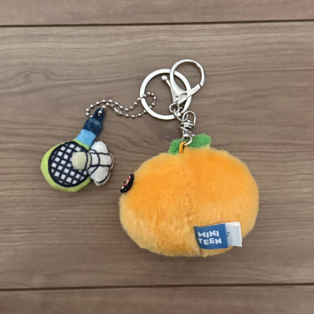SEVENTEEN　スングァン　プラッシュキーリング　ブギュリ　ミニティーン