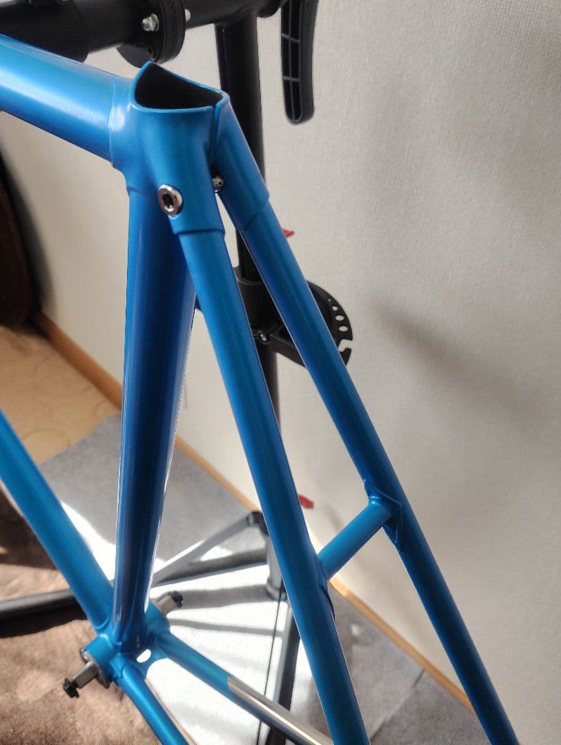 Panasonic ピストバイク　フレーム　njs 競輪