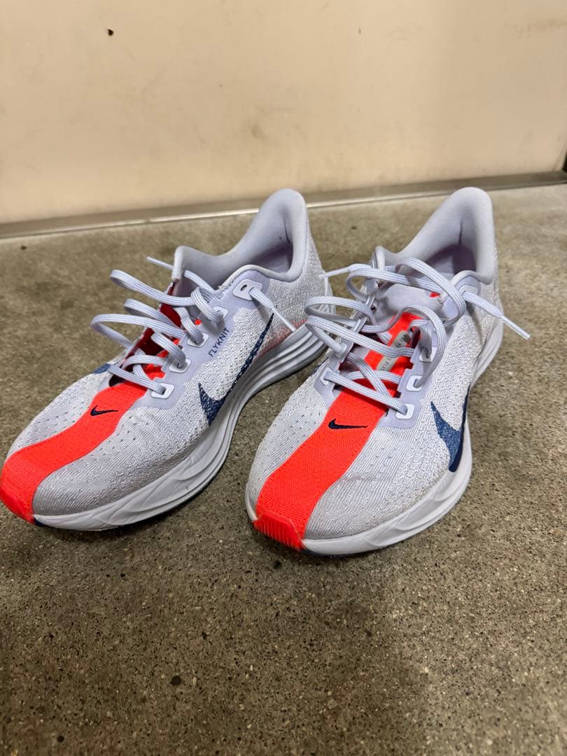 Nike ペガサス　プラス　27cm