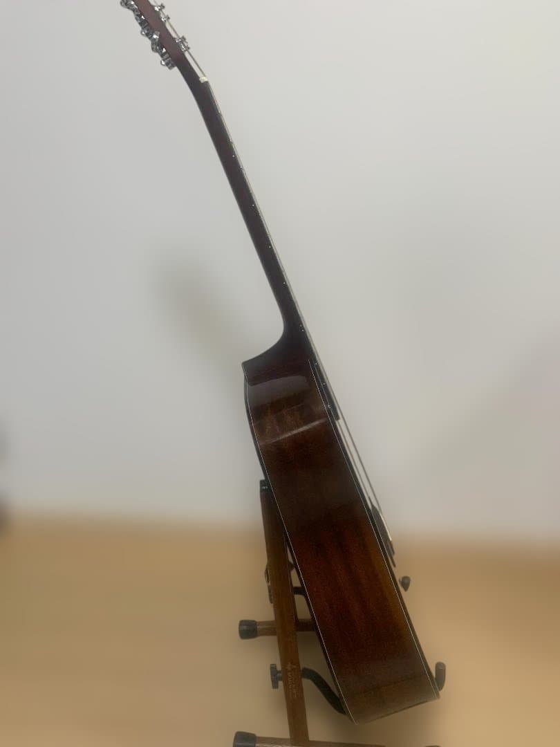 Morris M-80(NAT)【日本製 限定モデル アコースティックギター 】
