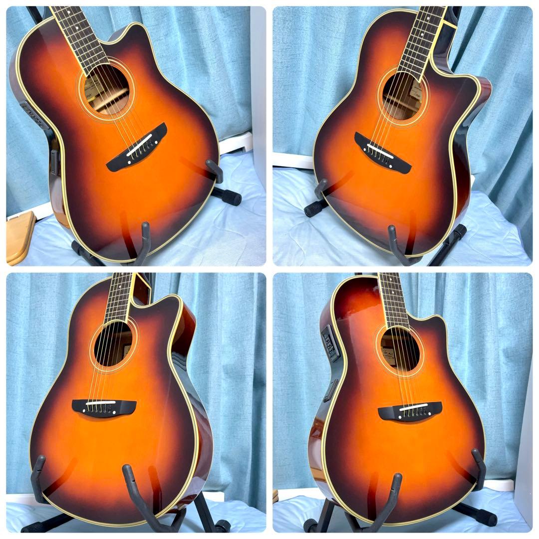 【牛骨★エレアコ】MORRIS！少し小ぶり！MR-2D【弾き易く調整☆新品弦】