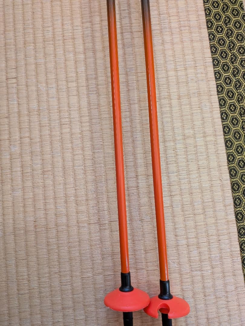 シナノスキーポール