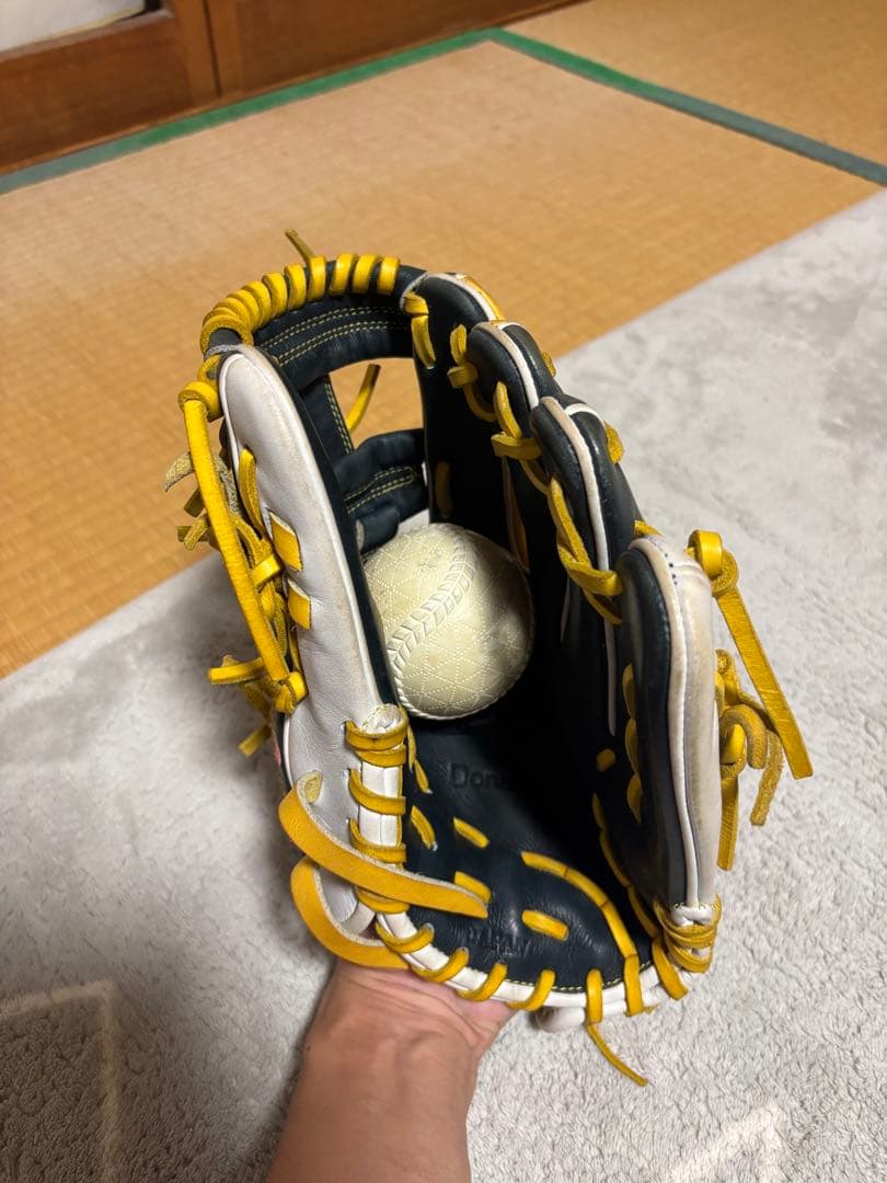 ドナイヤ 軟式グローブ 収納袋付き