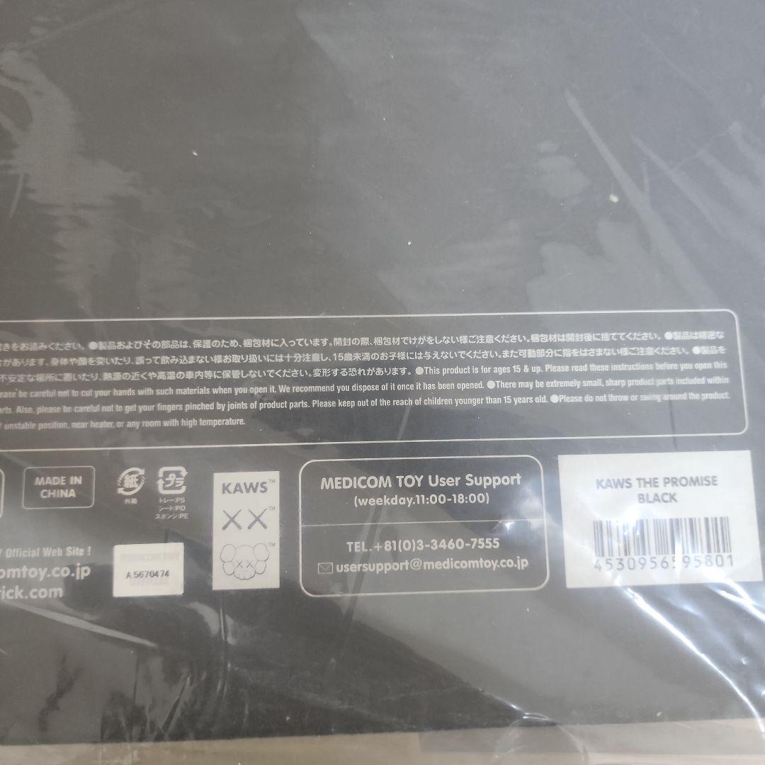 KAWS THE PROMISE フィギュア ブラック