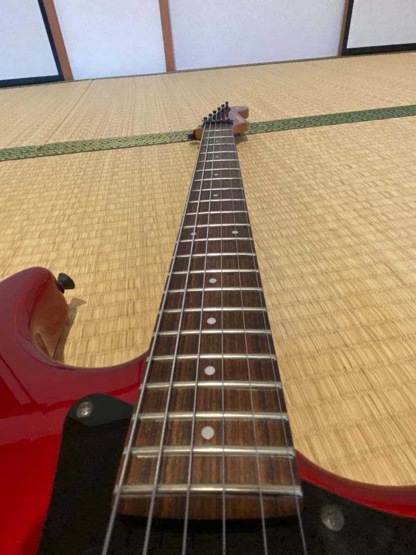 ギター Fernandes The Function