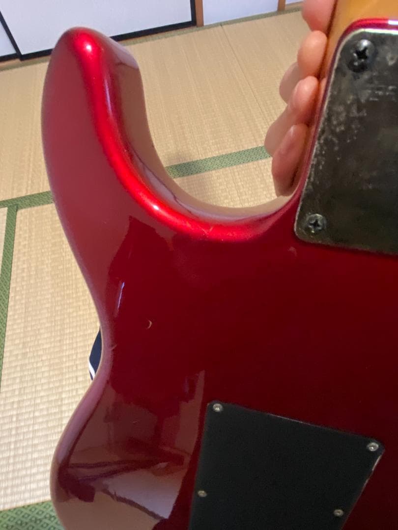 ギター Fernandes The Function