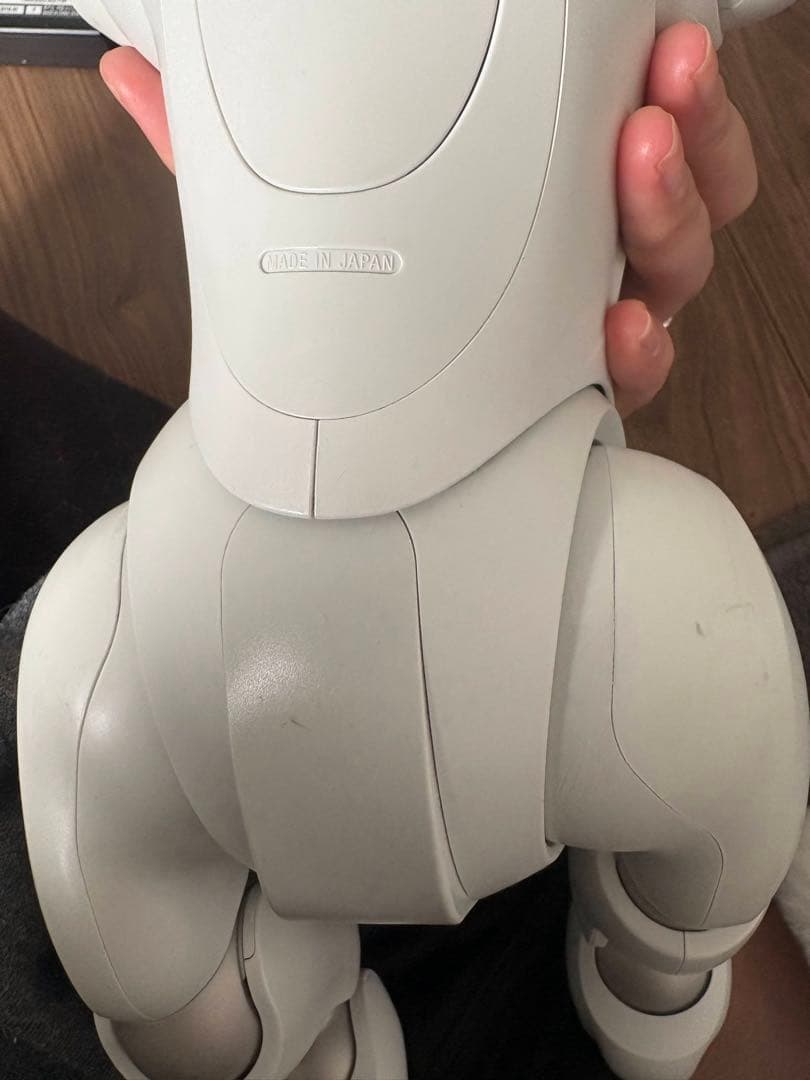 SONY aibo アイボ　ERS-1000 アイボリーホワイト 犬型ロボット