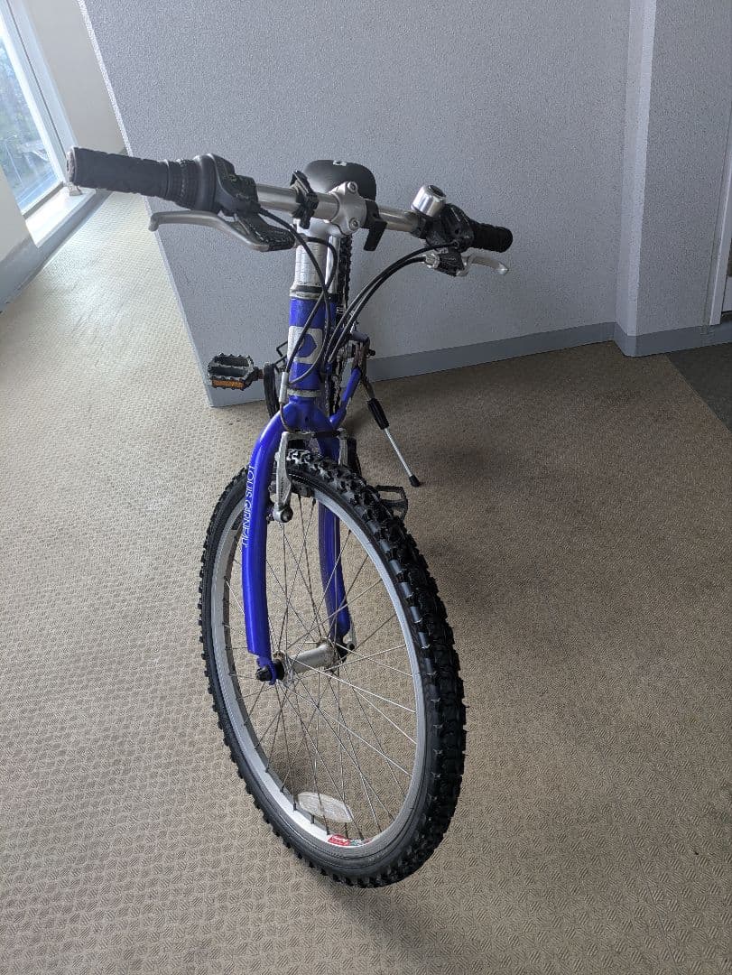 ルイガノ 自転車 22インチ