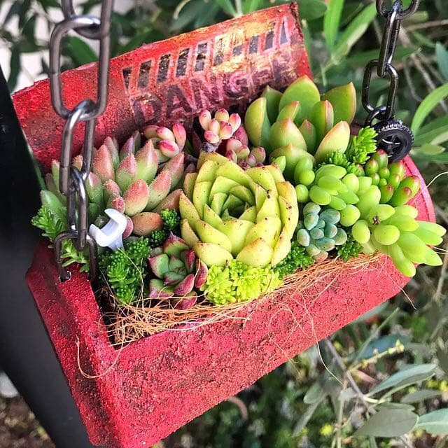 ★多肉植物　寄せ植え〜リメ缶チェーン寄せ〜★