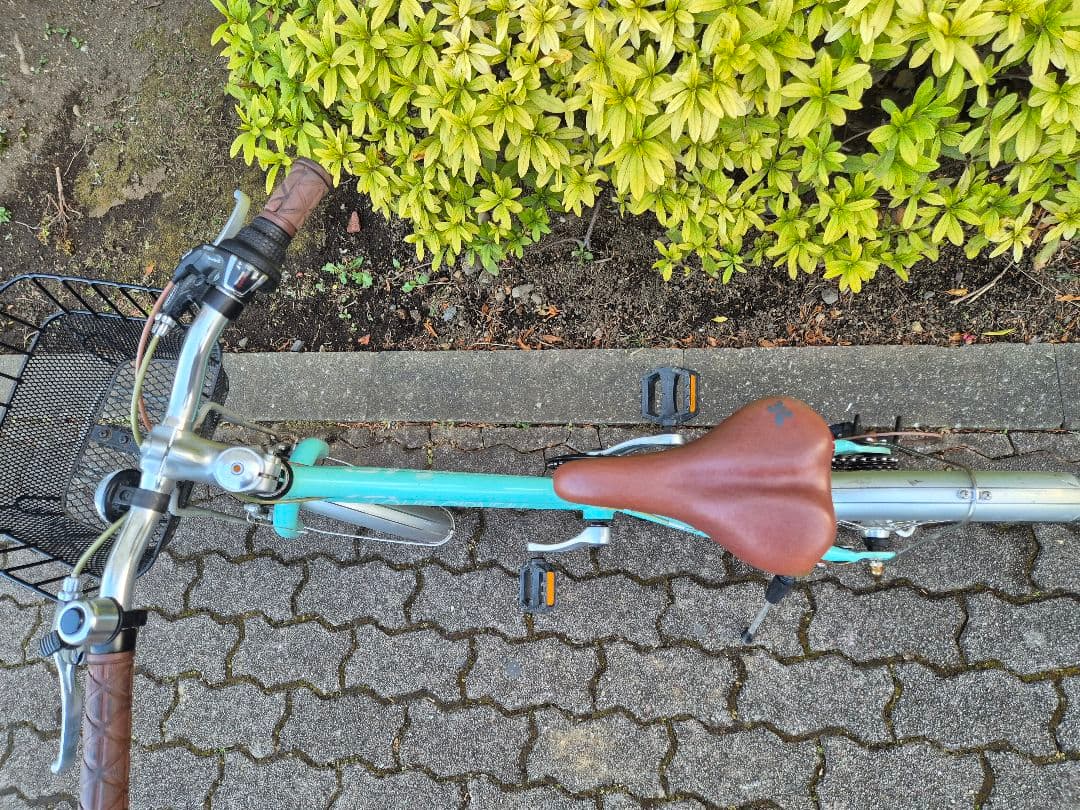 自転車本体 LOUIS GARNEAU J20 plus