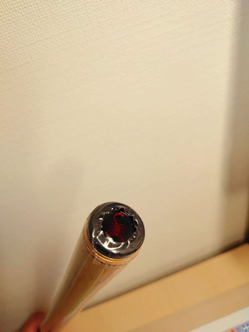 ワールドシャウラ ドリーム ツアー エディション DTE 1653R-5