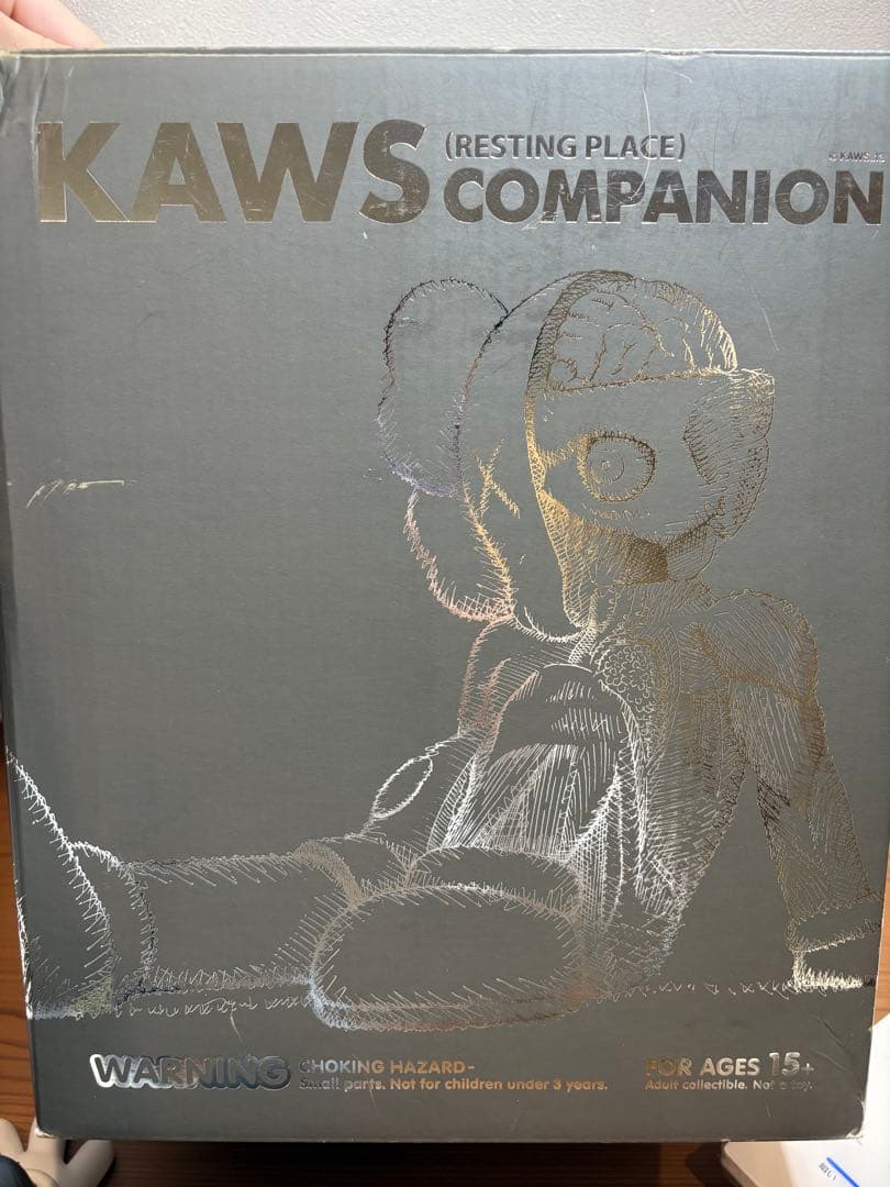 KAWS COMPANION (RESTING PLACE) グレー