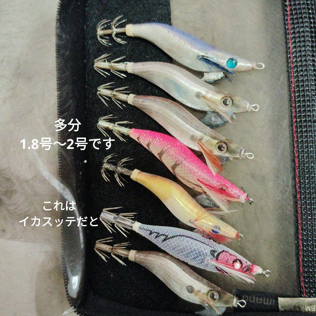 エギ３３本未使用と中古品＆セフィア収納ケース付き