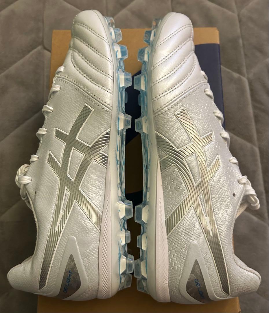 ASICS DS LIGHT PRO AG 25センチ