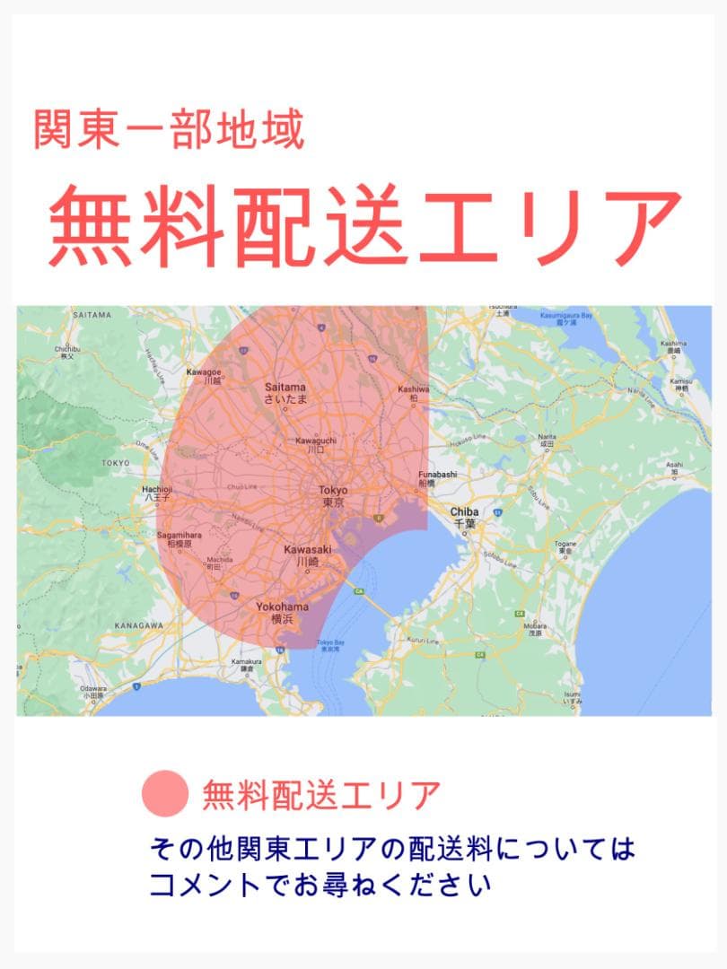 2019年モデル ギュトクルーム 子供乗せ電動アシスト自転車 H2760